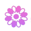 樱花资源网