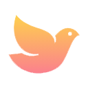蜂鸟影院